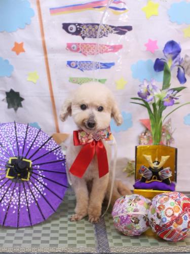 20240509あくびちゃん